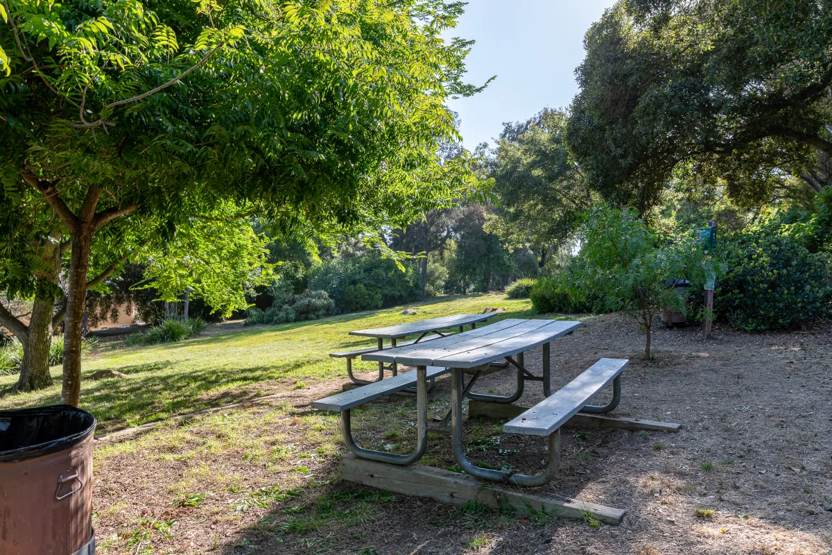 Picnic table at Orpet Park