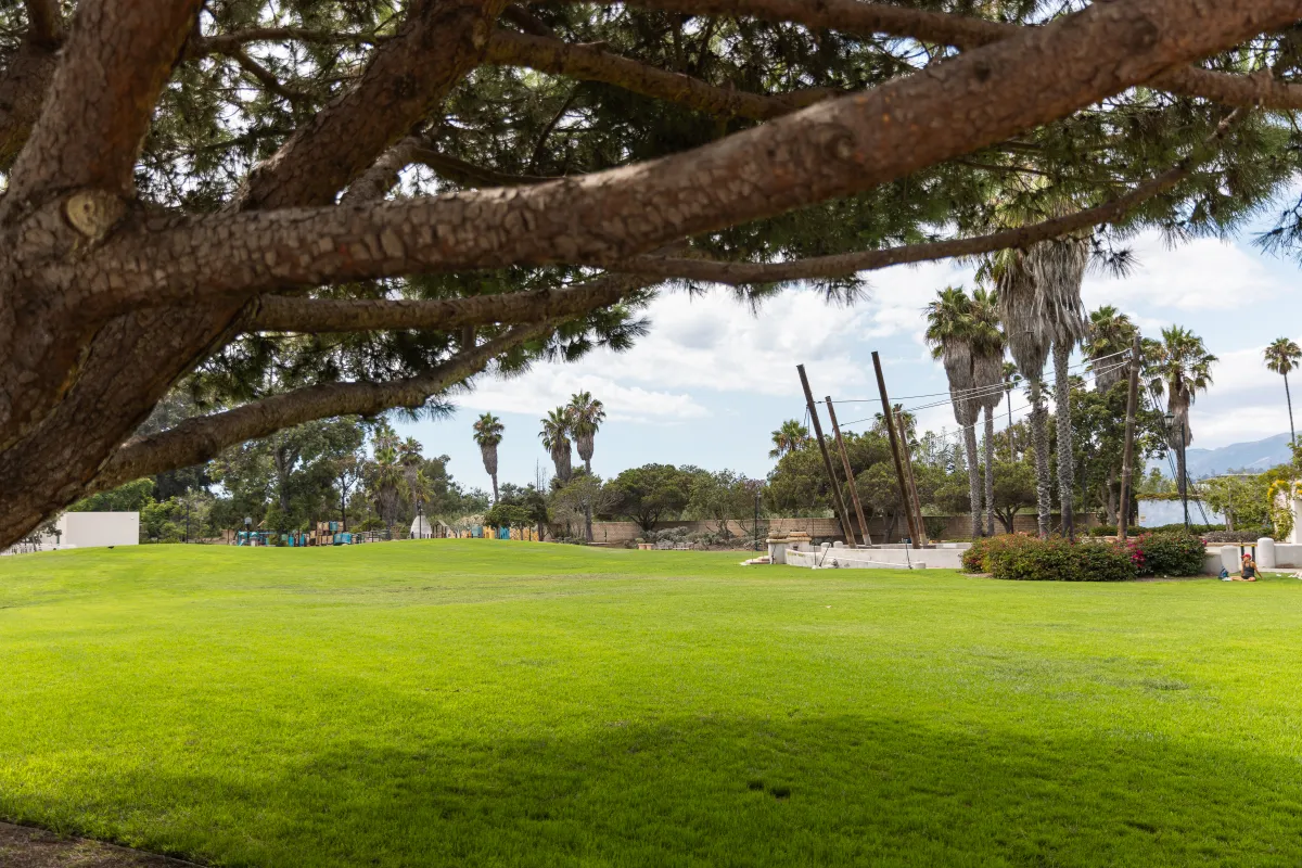 Chase Palm Park Great Meadow with stage