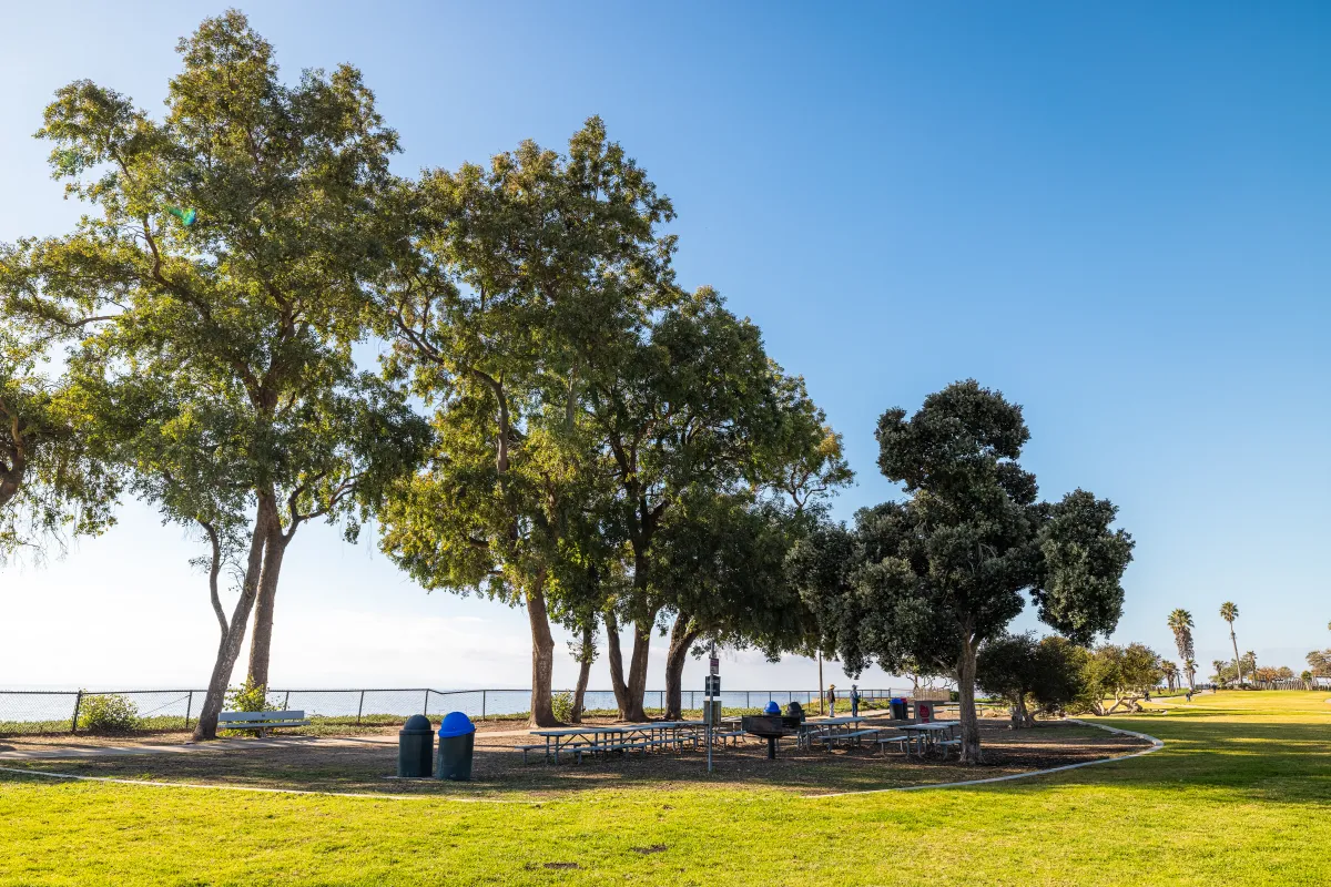 Shoreline Park Picnic Area