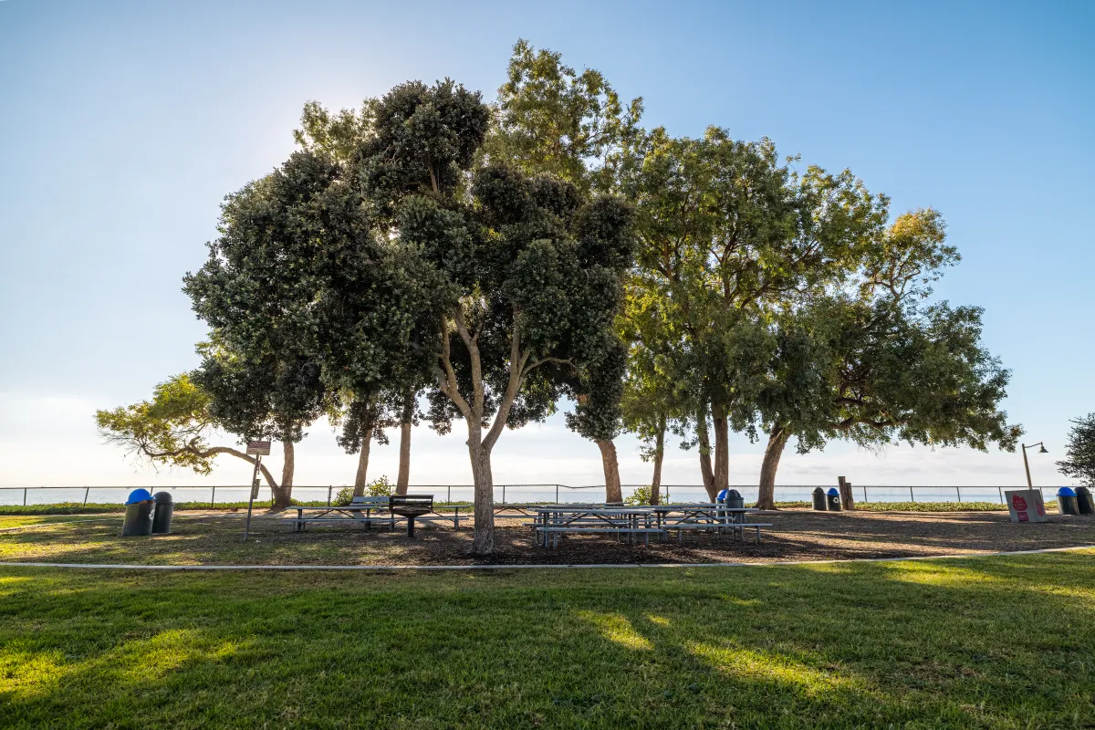 Shoreline Park Picnic Area