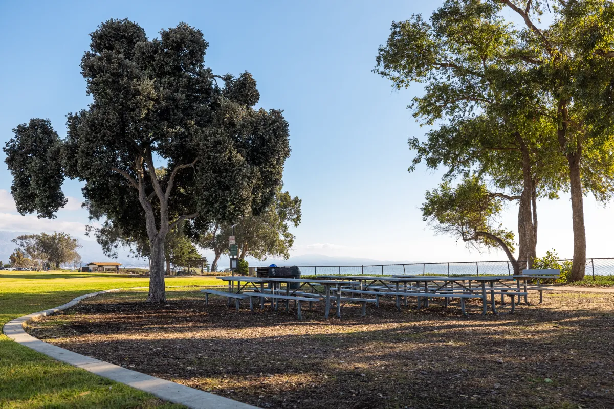 Shoreline Park Picnic Area
