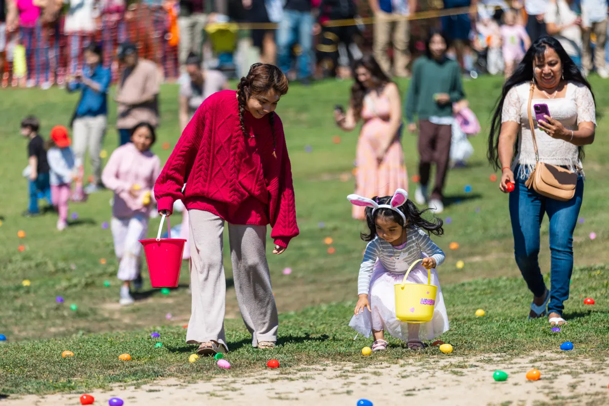 Children pick up colorful plastic eggs on grass