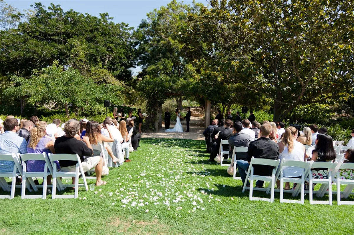 Alice Arbor Area.jpg