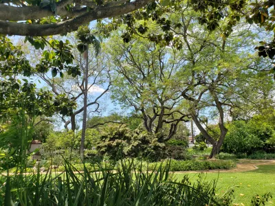 Turf at Alice Keck Park Memorial Garden
