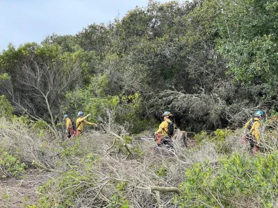 Crews work to remove vegetation from Douglas Family Preserve