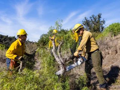 Staff remove brush to aid in wildfire prevention